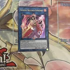 Shiranui Skillsaga Supremacy