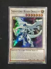 Punishment Dragon