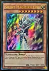 Silent Magician LV8