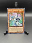 Silent Magician LV8