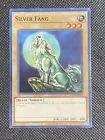 Silver Fang