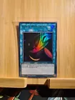 Black Whirlwind