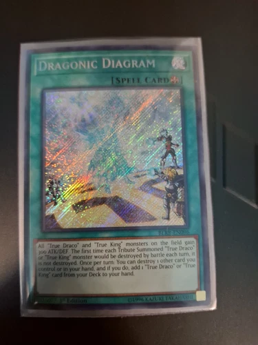 Dragonic Diagram