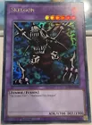 Skelgon