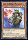 Skilled Brown Magician