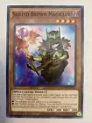 Skilled Brown Magician