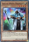 Skilled White Magician