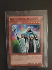 Skilled White Magician