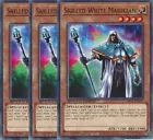 Skilled White Magician