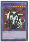 Skull Knight