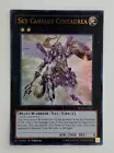 Sky Cavalry Centaurea