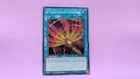 Sky Striker Maneuver - Afterburners!