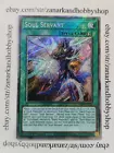 Soul Servant