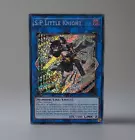 S:P Little Knight