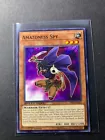 Amazoness Spy