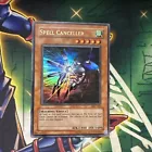 Spell Canceller