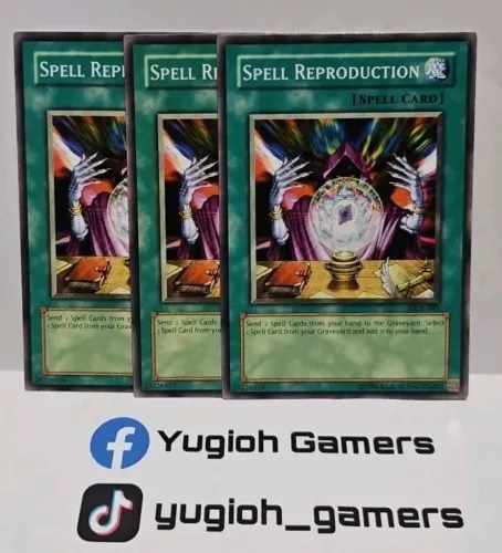 Spell Reproduction