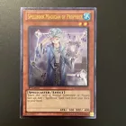 Spellbook Magician of Prophecy