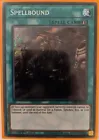 Secret Sect Druid Dru