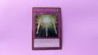 Swords of Revealing Light