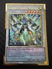 Stardust Charge Warrior