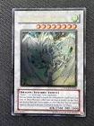 Stardust Dragon