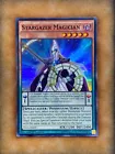 Stargazer Magician