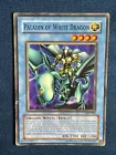 Paladin of White Dragon