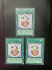 Stray Lambs