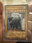 Frostosaurus