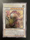 Sun Dragon Inti