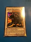 Black Brutdrago