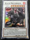 Black Brutdrago