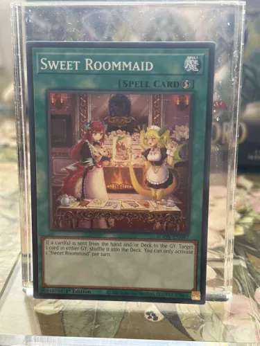 Sweet Roommaid