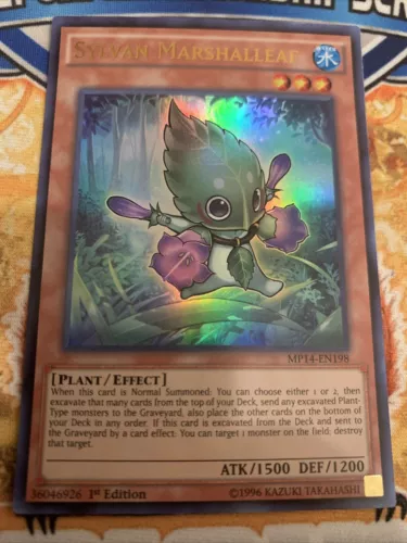 Sylvan Marshalleaf