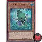 Sylvan Marshalleaf