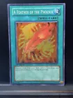 A Feather of the Phoenix