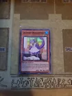 Chamber Dragonmaid