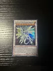 Stardust Sifr Divine Dragon