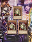 The Light - Hex-Sealed Fusion