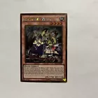 Traptrix Dionaea