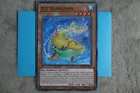 Xyz Slidolphin