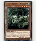 Tenyi Spirit - Nahata