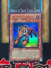 Test Tiger