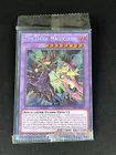 The Dark Magicians