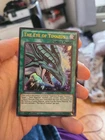 The Eye of Timaeus