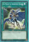 Magikey Dragon - Andrabime