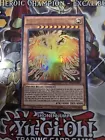 The Winged Dragon of Ra - Immortal Phoenix