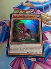 Spiritual Beast Apelio