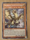 Thunder Dragonhawk